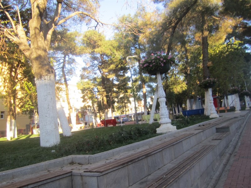 cadde